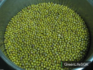 ai green moong whole