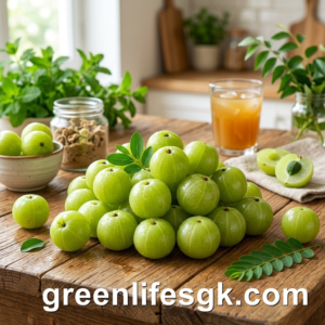 indian gooseberry