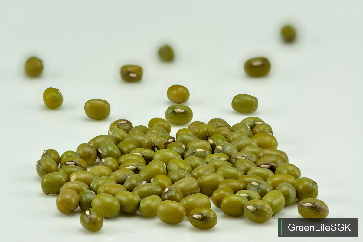 Whole green moong dal beans arranged on a clean white surface with GreenLifeSGK badge
